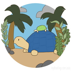 Turtle