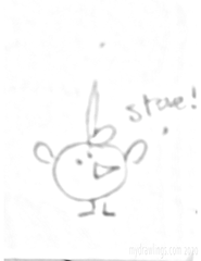 Steve
